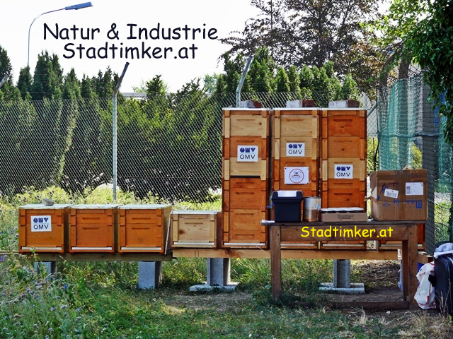 omvplatz.jpg